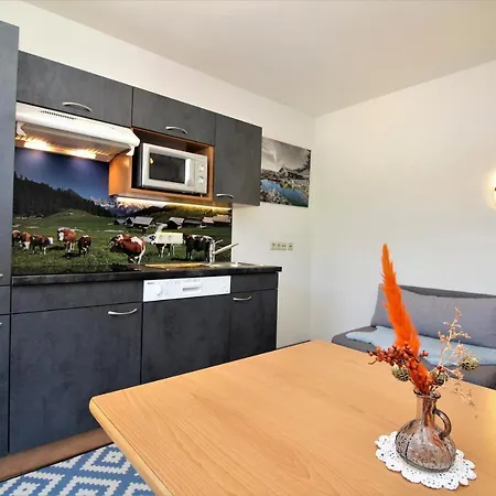 Apartments Luidold Schladming Zewnętrze zdjęcie
